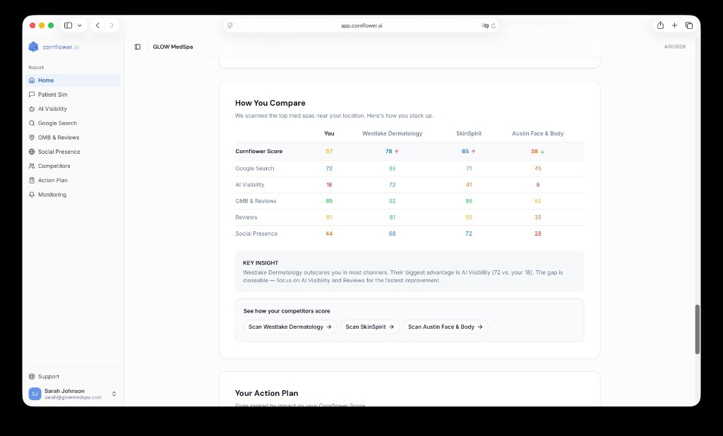 AI Visibility report showing prompt-by-prompt results across ChatGPT, Perplexity, and Gemini