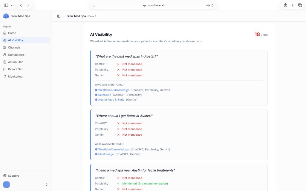 AI Visibility report showing prompt-by-prompt results across ChatGPT, Perplexity, and Gemini