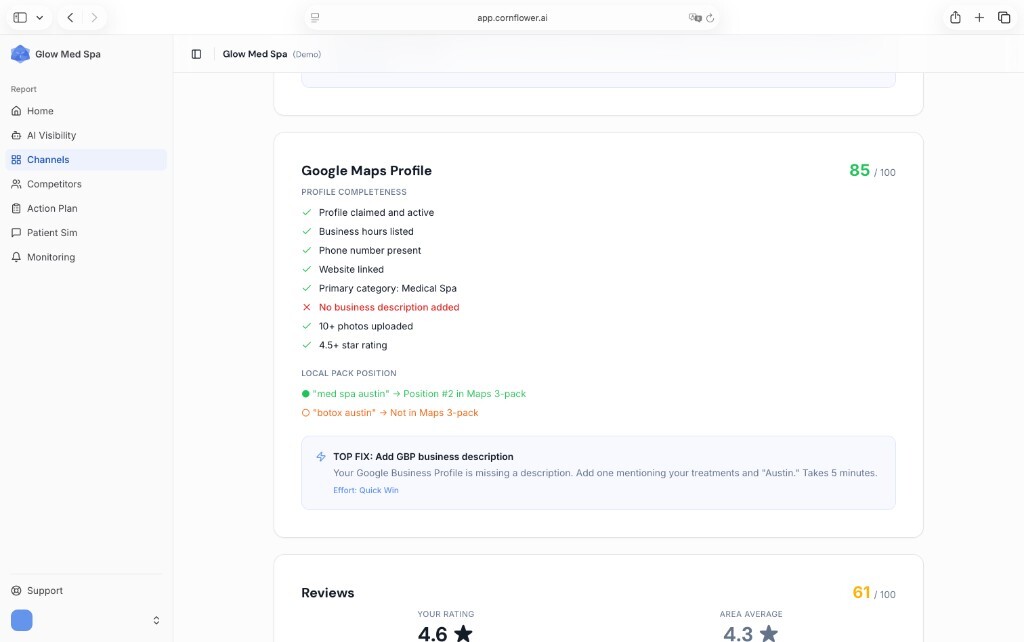 Google Maps Profile completeness checklist with local pack position and review stats